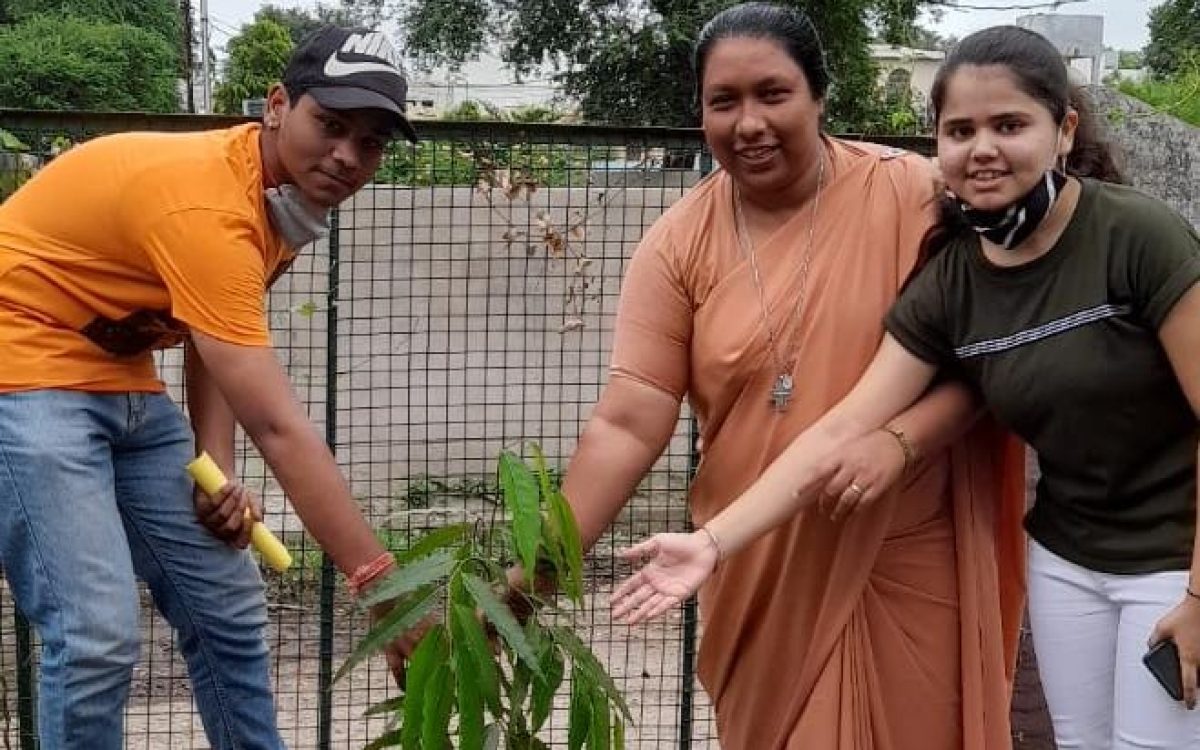 Van Mahotsav ( Tree Plantation Day)
